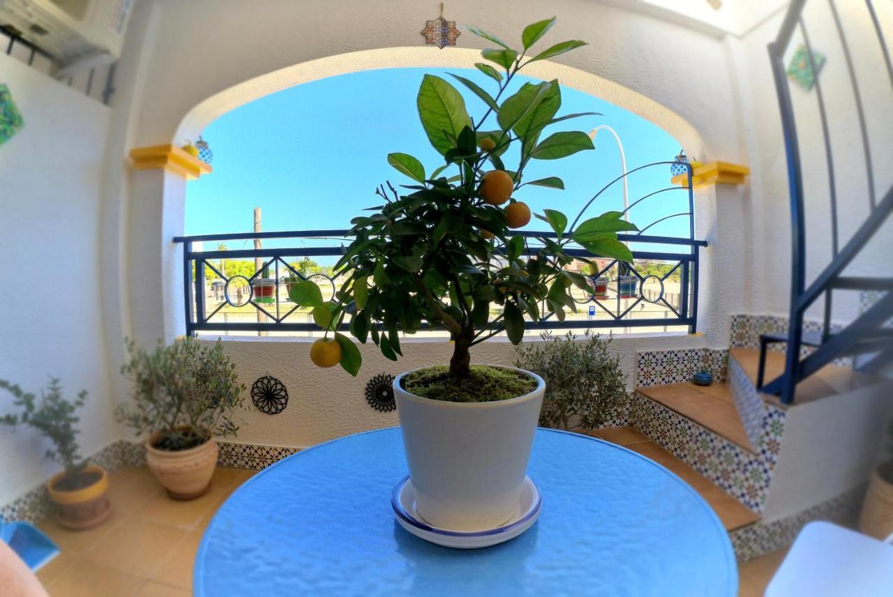 格兰阿利坎特Private Mosaic House别墅 外观 照片